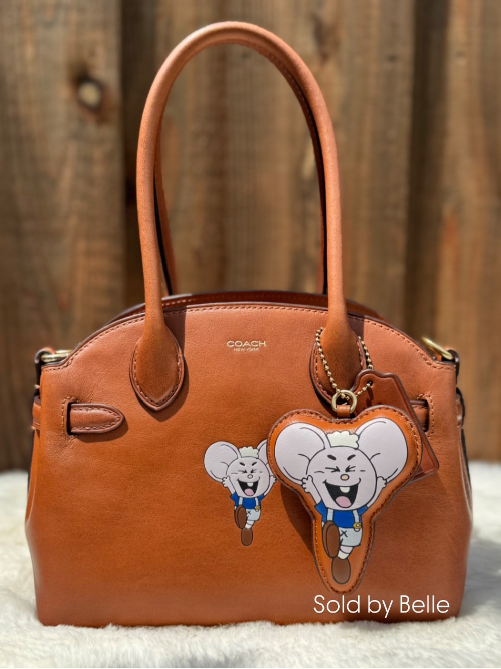 NWT Coach Brain Dead Empire Carryall Bag 21 With Kachi Mouse And Charm